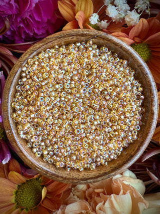 Size 11/0 Miyuki Round Combo- Minty Champagne