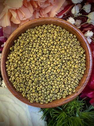 Size 11/0 Miyuki Round Combo-  Boardwalk