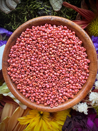 Size 11/0 Miyuki Round- 94695 Frost Opaque Glaze Rinabow Cardinal