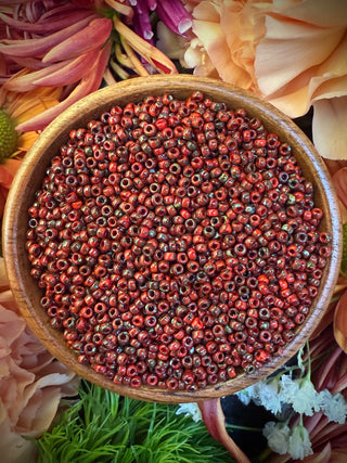 Size 11/0 Miyuki Round Combo- Terracotta Peacock