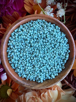 Size 11/0 Miyuki Round Combo- Minty Champagne