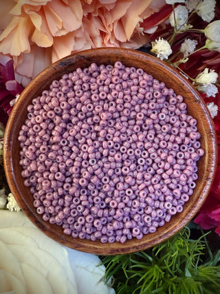 Size 11/0 Miyuki Round Combo-  Boardwalk