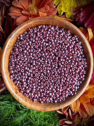 Size 11/0 Miyuki Round Combo- Apricot Sage