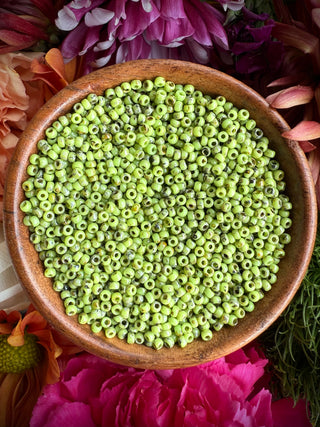 Size 11/0 Miyuki Round Combo- Tropical Sunrise