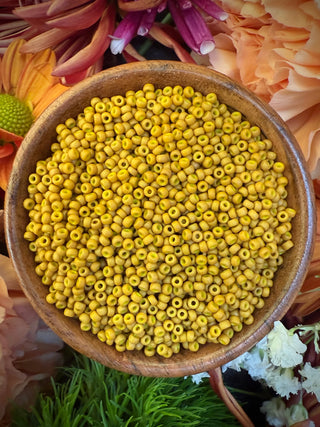 Size 11/0 Miyuki Round Combo- Terracotta Peacock