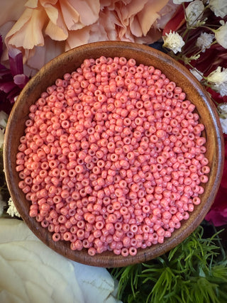 Size 11/0 Miyuki Round Combo-  Boardwalk