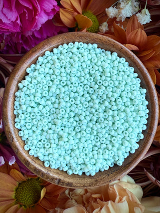 Size 11/0 Miyuki Round Combo- Minty Champagne