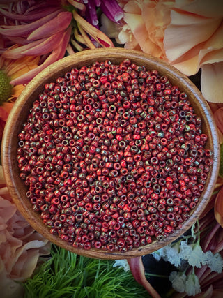 Size 11/0 Miyuki Round- 94513 Picasso Red Garnet