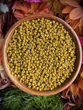 Size 11/0 Miyuki Round- 94491 Duracoat Opaque Dyed Olive